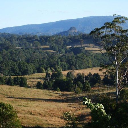 Grey Gum Lodge Нимбин Экстерьер фото