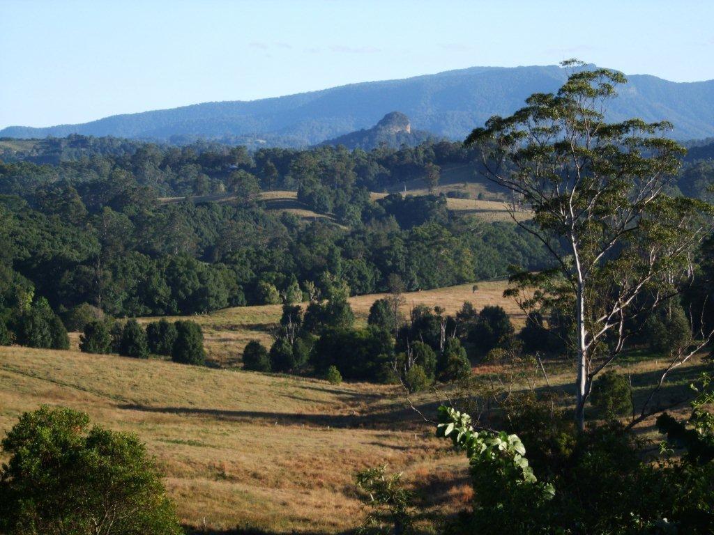 Grey Gum Lodge Нимбин Экстерьер фото