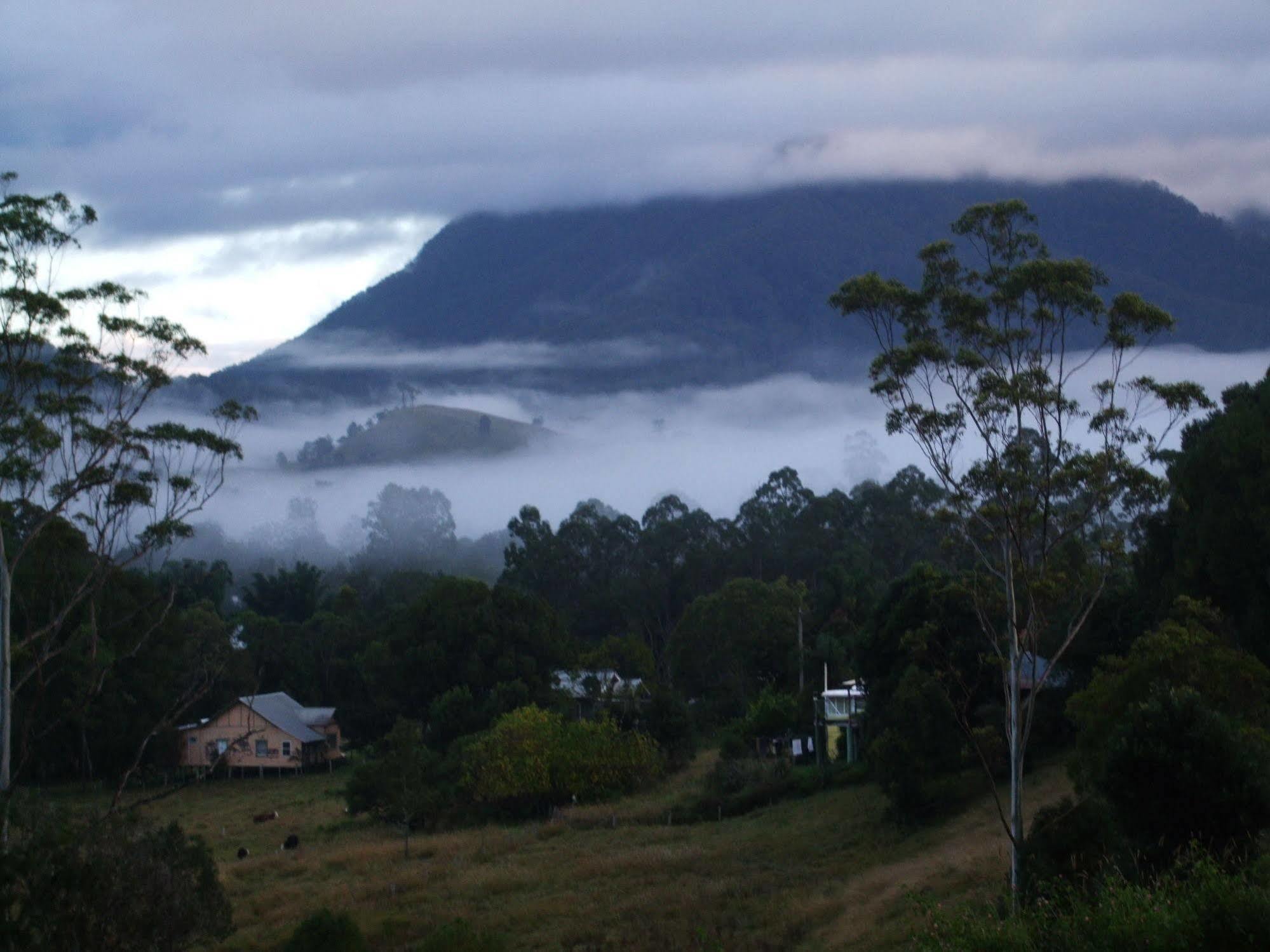 Grey Gum Lodge Нимбин Экстерьер фото